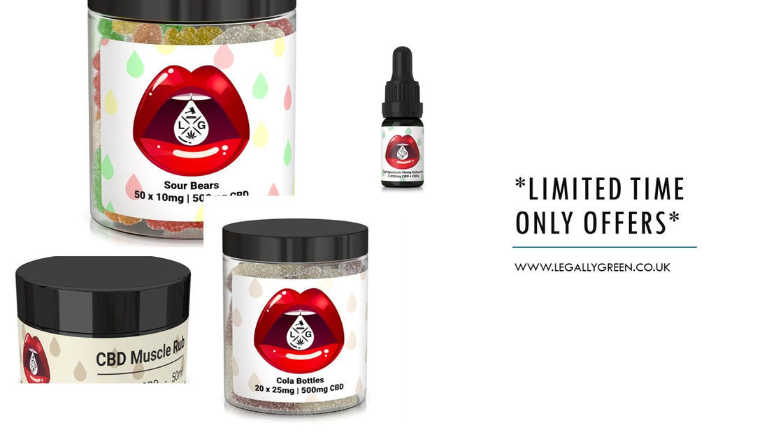 Embarking on Your CBD Journey: Navigating Oils, Capsules, and Edibles - TRY THE BUNDLE OFFER